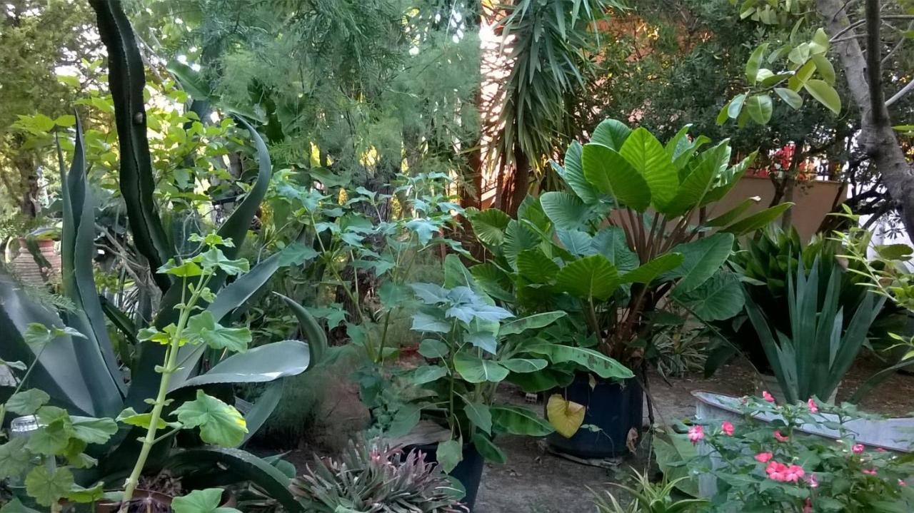 斯沃伦塔巴哈啊麦斯旅馆公寓 外观 照片